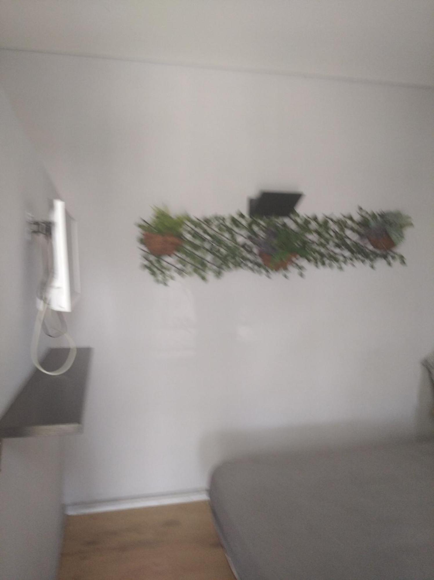 Porto Estudio Campanha Exteriör bild
